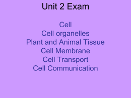 Unit 2 Exam Cell Cell organelles Plant and Animal Tissue