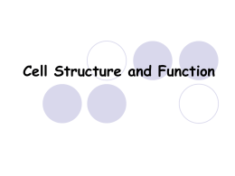 Cell Structure and Function - Coach Hernandez Biology