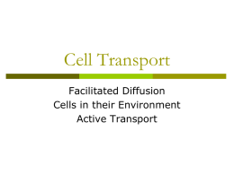 Cell Transport - Madison Public Schools