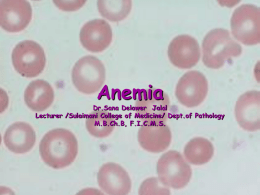 Anemia - Shanyar
