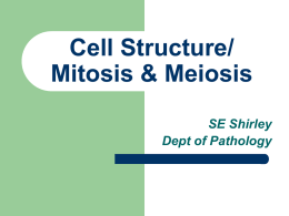 Cell Structure/ Mitosis & Meiosis