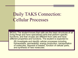 Daily TAKS Connection: DNA