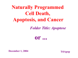 Naturally Programmed Cell Death, Apoptosis, and Cancer