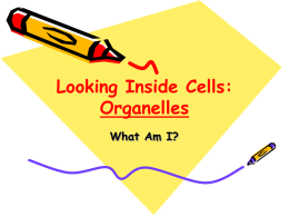 Looking Inside Cells - University of California, Irvine