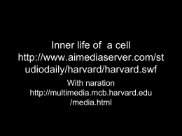 Inner life of a cell http://www.aimediaserver.com