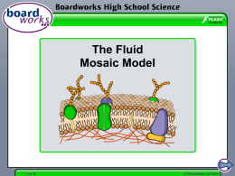 The Fluid Mosaic Model - Chatsworth High School