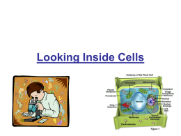 Looking Inside Cells - Broom & Brown's 7th Grade Science