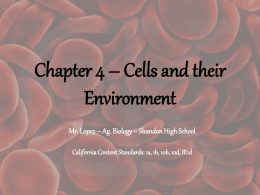 Chapter 4 – Cells and their Environment
