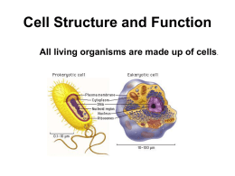 Eukaryotic Cells - Greensburg