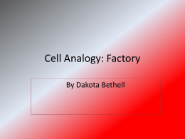 Cell Analogy: Factory