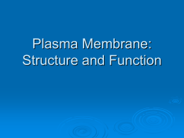 Plasma Membrane: Structure and Function
