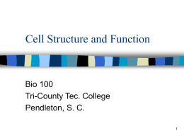 Cell Structure and Function - Tri