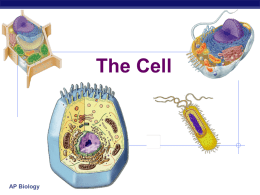 Cells functions - Rahway Public Schools