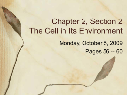 Chapter 2, Section 2 The Cell in Its Environment