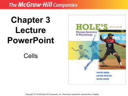 PowerPoint to accompany Hole’s Human Anatomy and