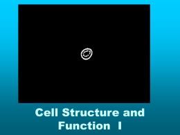 Cell Structure and Function - Ms. Pass's Biology Web Page