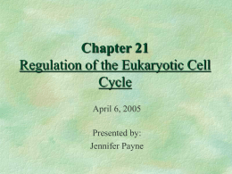 Chapter 21 Regulation of the Eukaryotic Cell Cycle