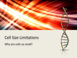 Cell Size Limitations - Mr. C's Biology Homepage