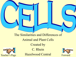 Plant and Animal Cell Powerpoint