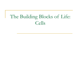 The Building Blocks of Life: Cells