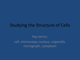 Studying the Structure of Cells