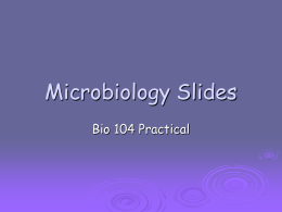 Microbiology Slides - Welcome to Cherokee High School