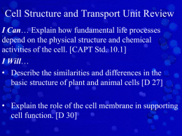 Cell Structure and Transport Unit Review