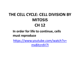 THE CELL CYCLE: CELL DIVISION BY MITOSIS CH 12