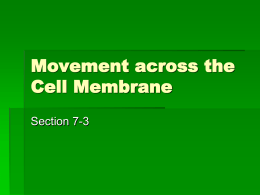 Section 7-3 Movement across the Cell Membrane