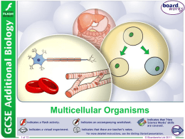 Multicellular Organisms - Thomas A. Stewart Secondary School
