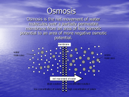 Osmosis - A level biology