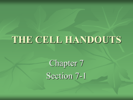 THE CELL HANDOUTS - Wildcat Chemistry