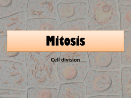 Mitosis and Meiosis - Ms. Petrauskas' Class