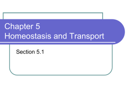 Chapter 5 Homeostasis and Transport