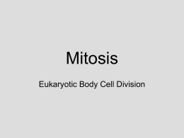 Mitosis - School District 206 / Overview