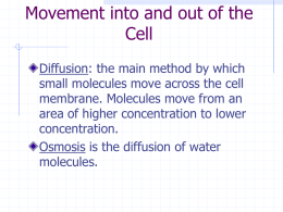 How do materials move across the cell membrane?