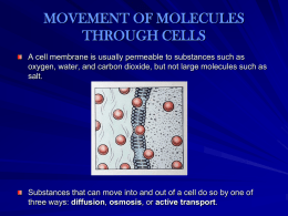 MOVEMENT OF MOLECULES THROUGH CELLS