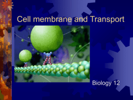 Cell membrane and Transport - myndrs.com: Web Development