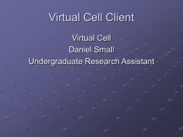 Virtual Cell Client