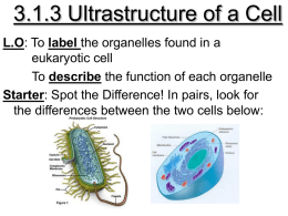 3.1.3 Ultrastructure of a Cell