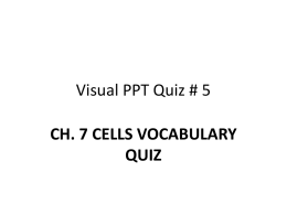 Visual PPT Quiz # 5
