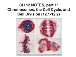 Notes: Cell Division & the Cell Cycle (Ch. 12)