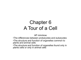 Chapter 6 A Tour of a Cell