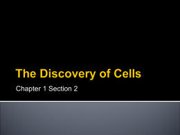 The Discovery of Cells