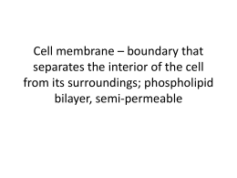Cell membrane – boundary that separates the interior of