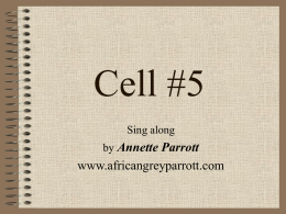 Cell #5 - Dr. Annette M. Parrott