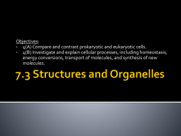 7.3 Structures and Organelles