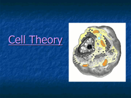 Cell Theory - Westhampton Beach Elementary School
