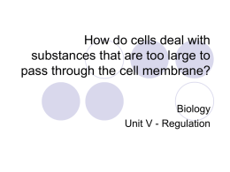 How do cells deal with substances that are too large to pass through