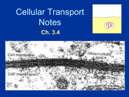 Cell Transport (Bio I) - Effingham County Schools